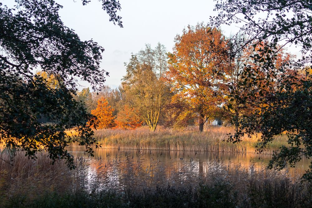 Herbst im Britzer Garten