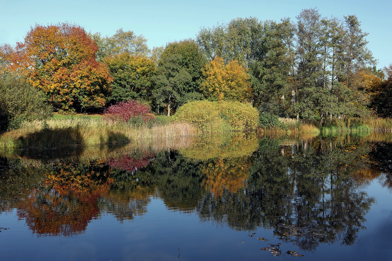 Herbst im Britzer Garten Foto & Bild park, teich, natur Bilder auf