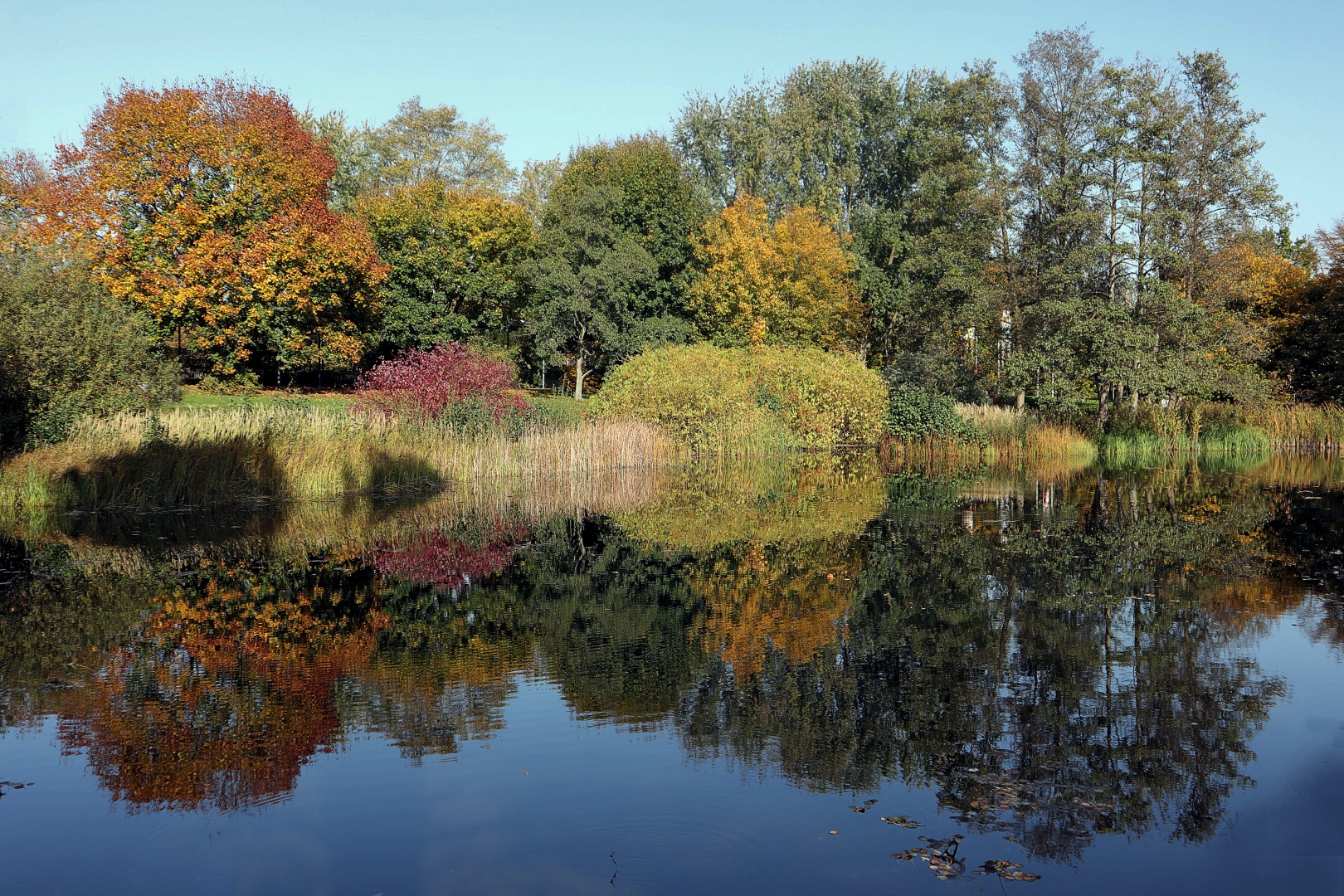 Herbst im Britzer Garten 