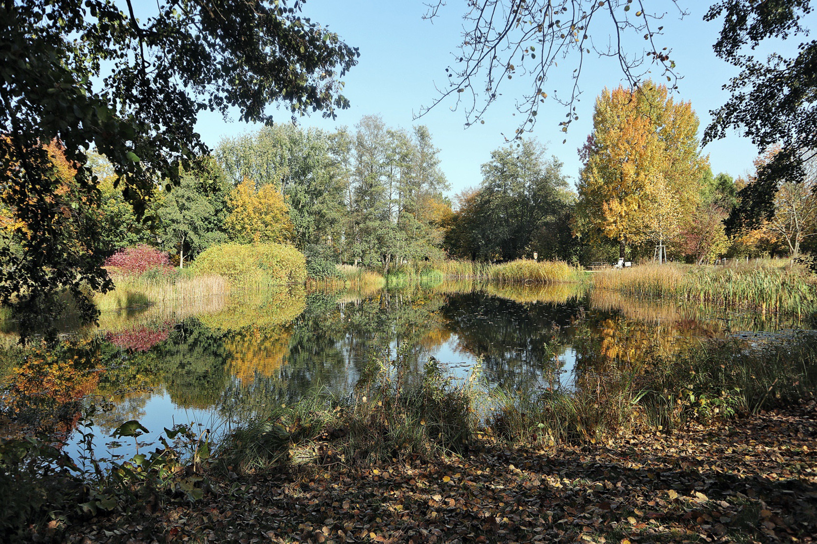 Herbst im Britzer Garten 