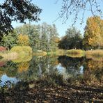 Herbst im Britzer Garten 