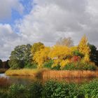 Herbst im Britzer Garten....