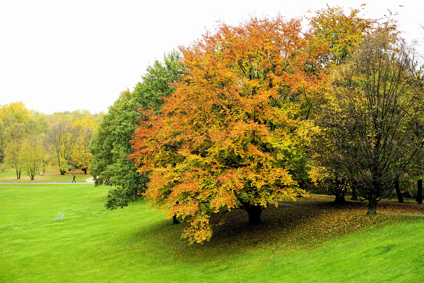 Herbst im ''Britzer Garten''