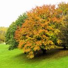 Herbst im ''Britzer Garten''