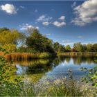 Herbst im Britzer Garten