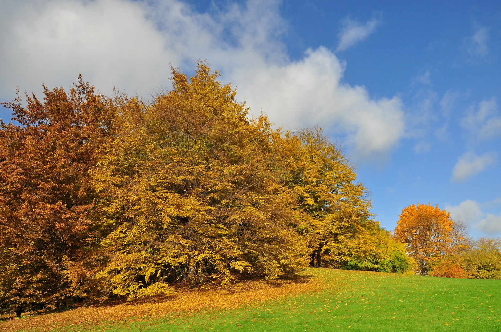 Herbst im Britzer Garten..... Foto & Bild landschaft, jahreszeiten