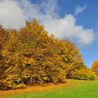 Herbst im Britzer Garten.....  