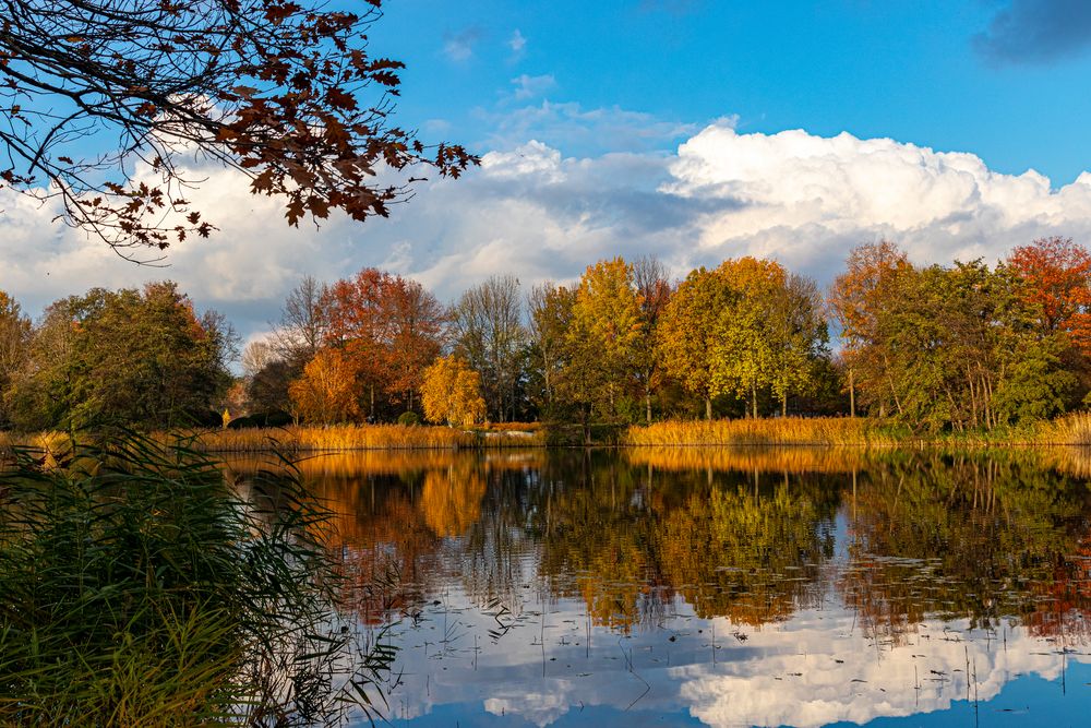 Herbst im Britzer Garten Foto & Bild landschaft