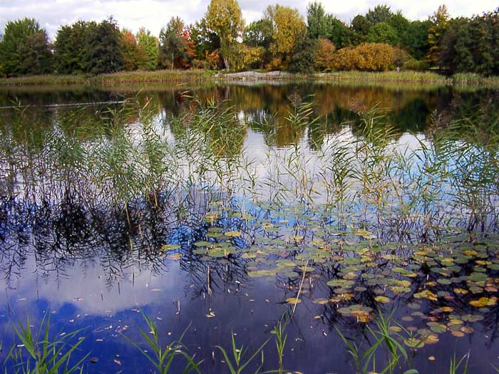 Herbst im Britzer Garten