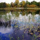 Herbst im Britzer Garten