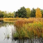 Herbst im ''Britzer Garten''