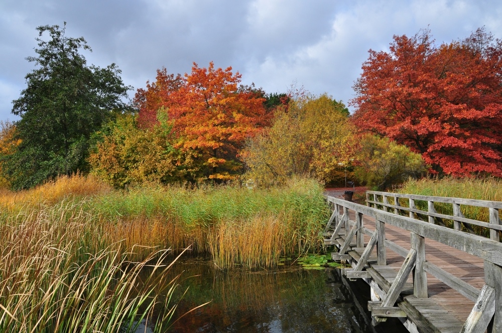 Herbst im Britzer Garten Foto & Bild jahreszeiten, herbst, natur