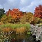 Herbst im Britzer Garten