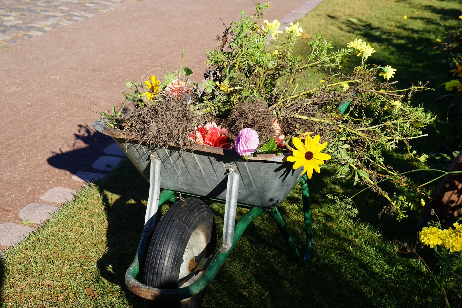 Herbst im Britzer Garten