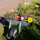 Herbst im Britzer Garten