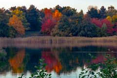 Herbst im Britzer Garten