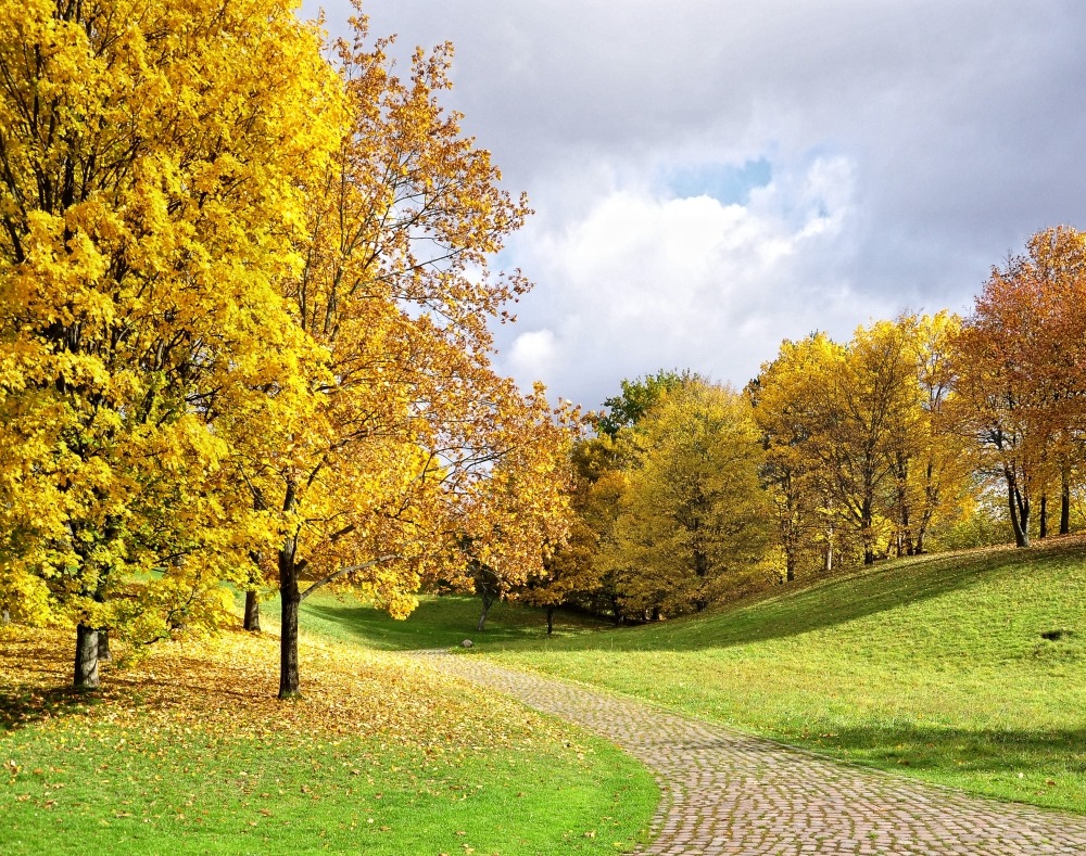 Herbst im Britzer Garten...