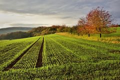 *Herbst im Brohltal*