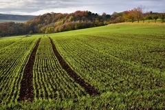 *Herbst im Brohltal II*