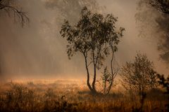 Herbst im Brook