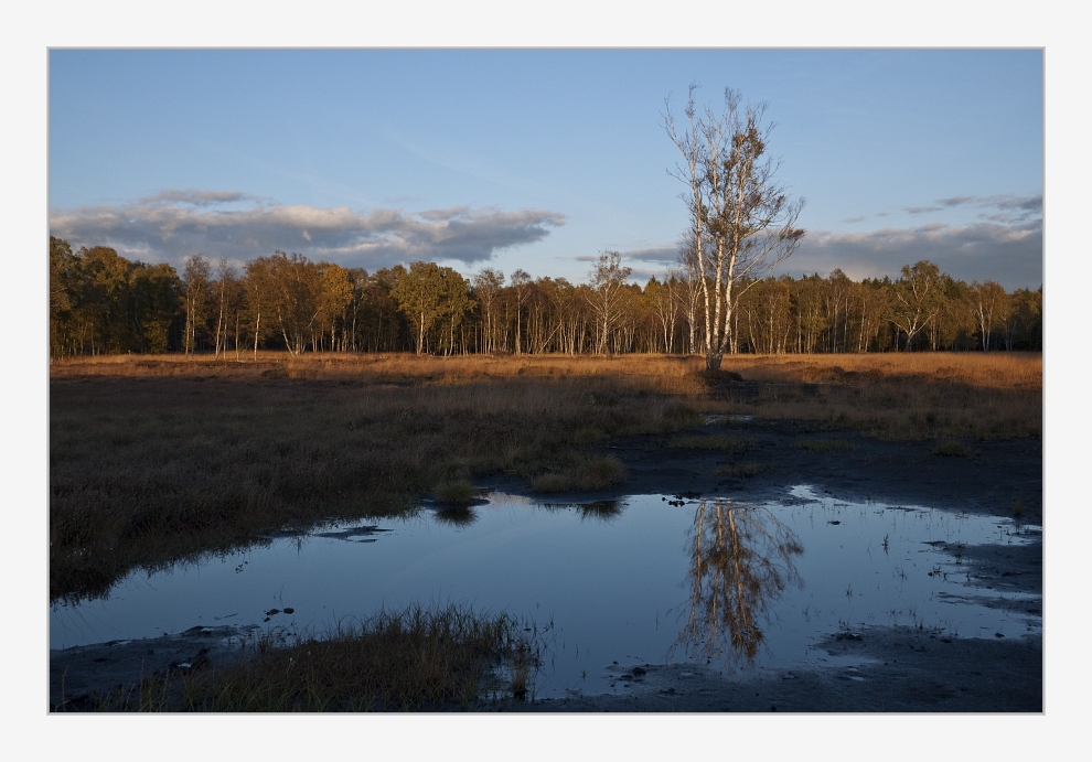 Herbst im Brook...