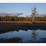 Herbst im Brook...