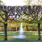 Herbst im Brühler Schlosspark