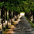 Herbst im Brühler Schlosspark