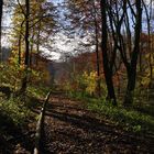 Herbst im Brunstal