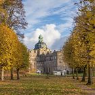 Herbst im Bückeburger Schlosspark