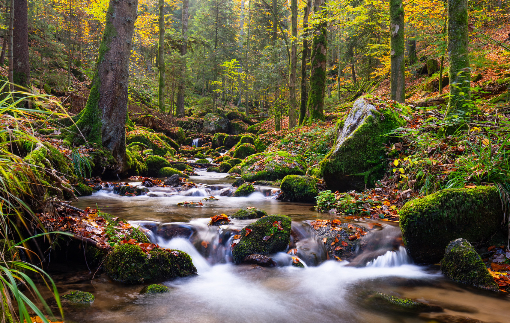 Herbst im Bühlertal.