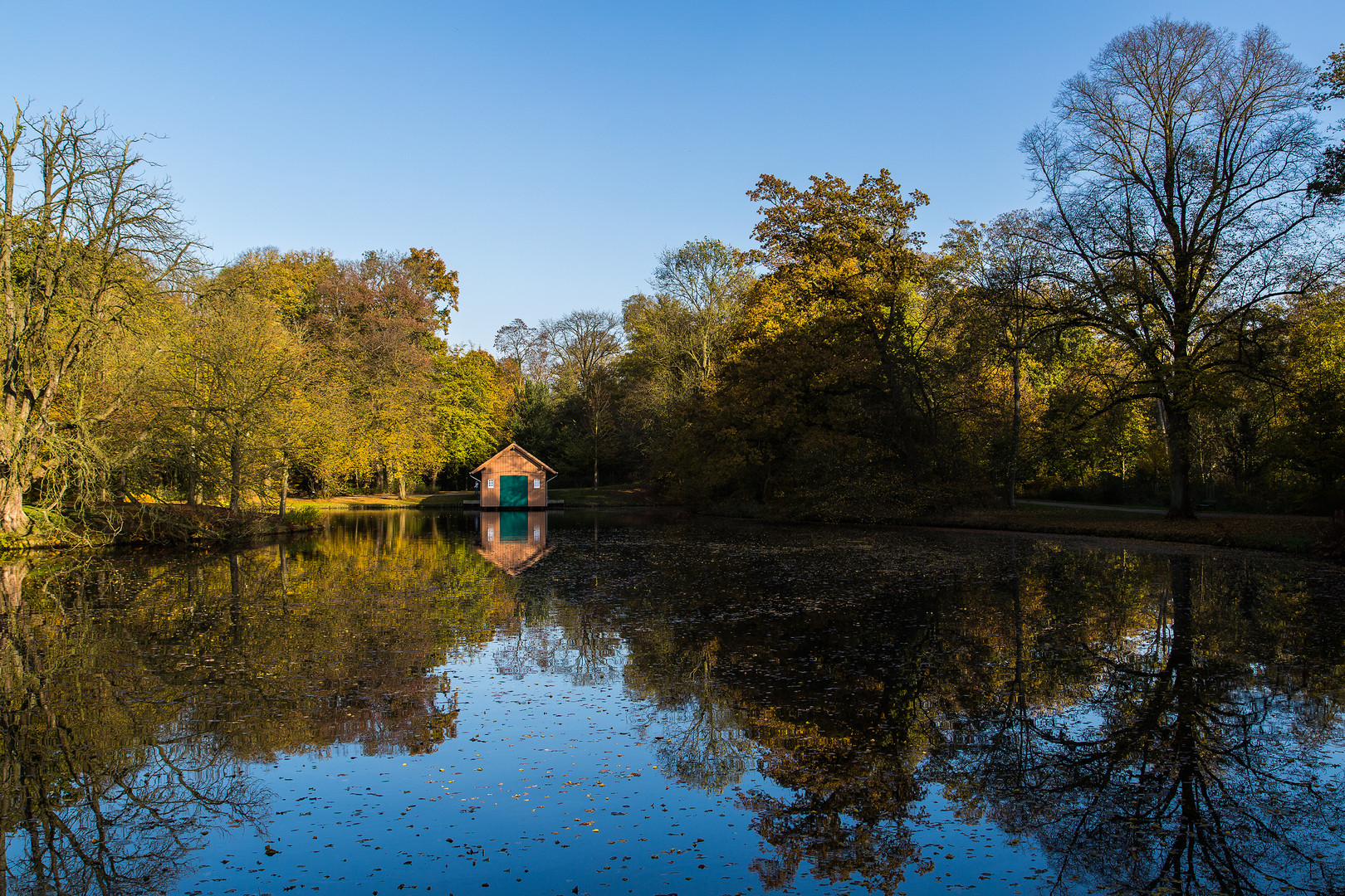 Herbst im Bürgerpark