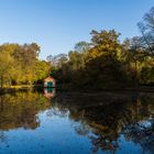 Herbst im Bürgerpark