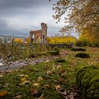 Herbst im Bürgerpark Saarbrücken