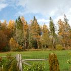 °°°° Herbst im Buhlbachtal °°°°