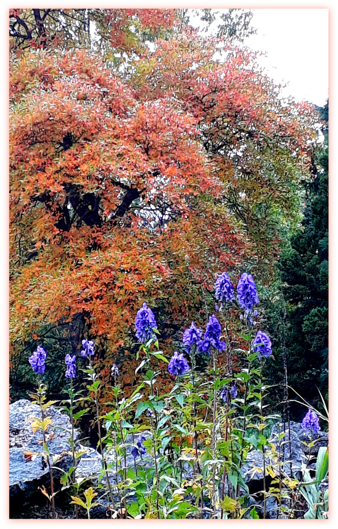 Herbst im Bunten Garten in MG