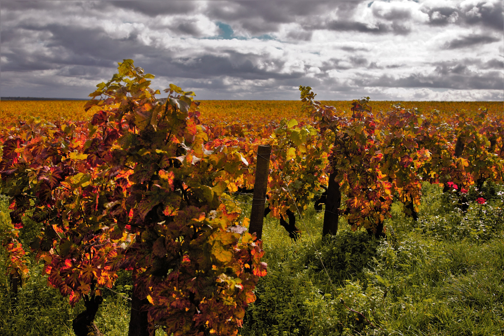 Herbst im Burgund