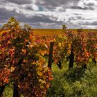 Herbst im Burgund