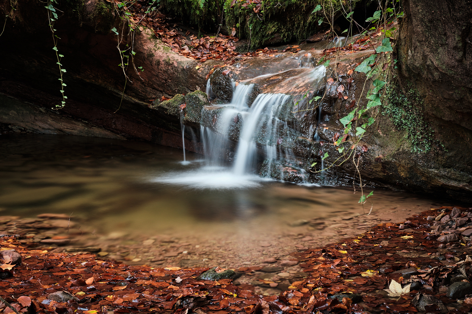 Herbst im Butzerbachtal