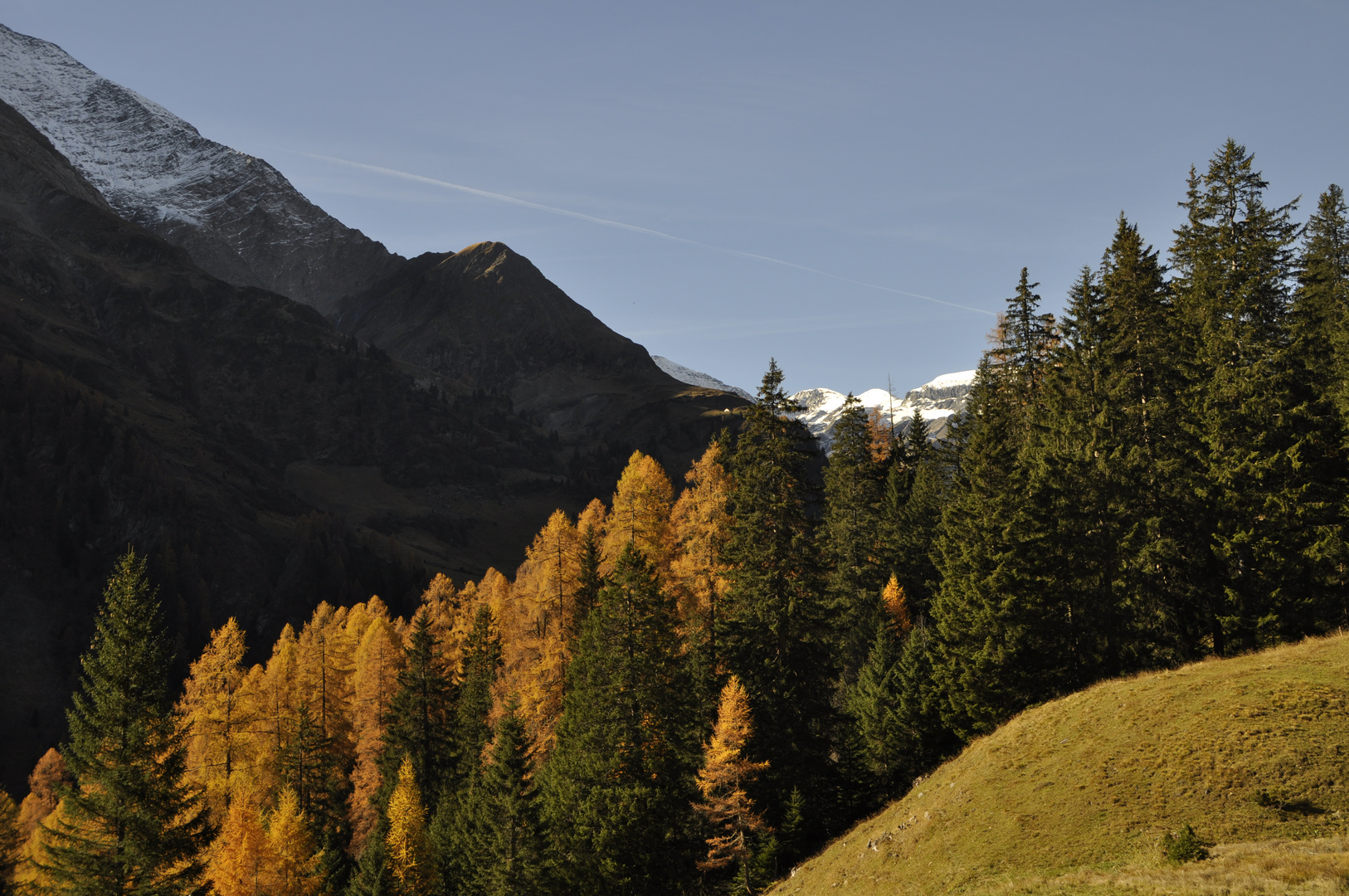 Herbst im Calfeisental