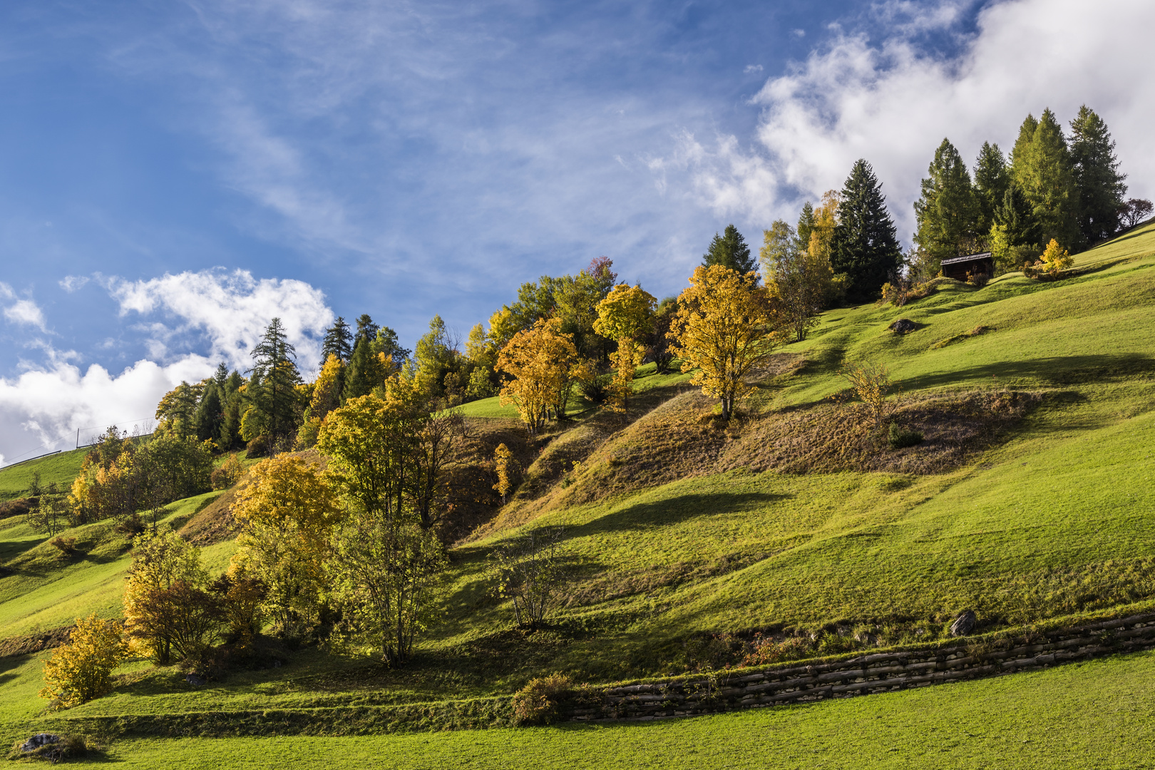 *Herbst im Campilltal*