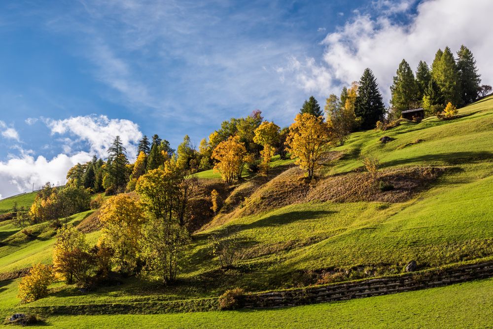 *Herbst im Campilltal*