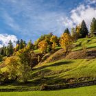 *Herbst im Campilltal*