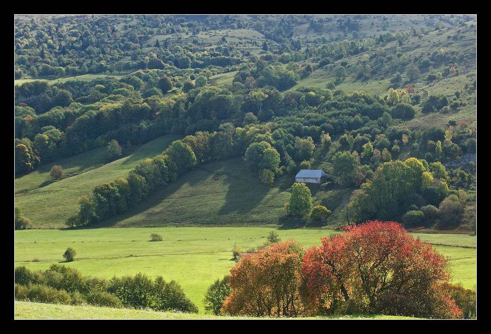 Herbst im Cantal