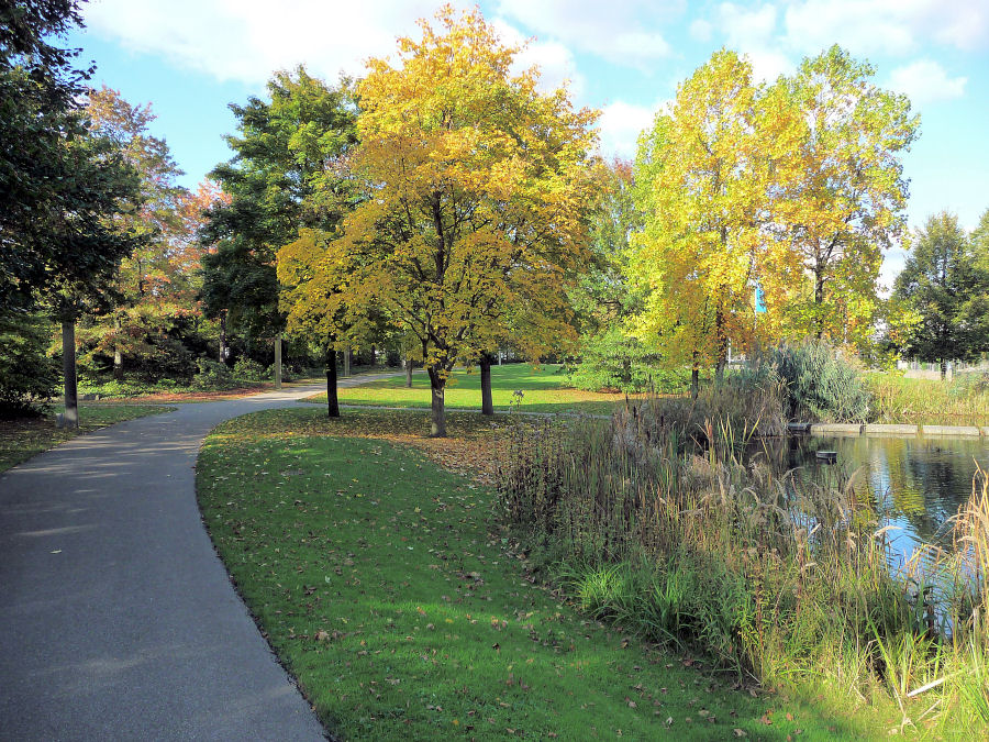 Herbst im Carl-Duisberg-Park in Leverkusen