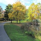 Herbst im Carl-Duisberg-Park in Leverkusen