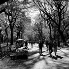 Herbst im Central Park