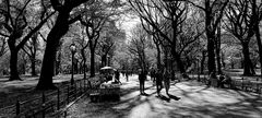 Herbst im Central Park