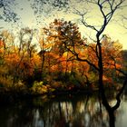 Herbst im Central Park