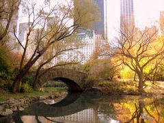 Herbst im Central Park, NY